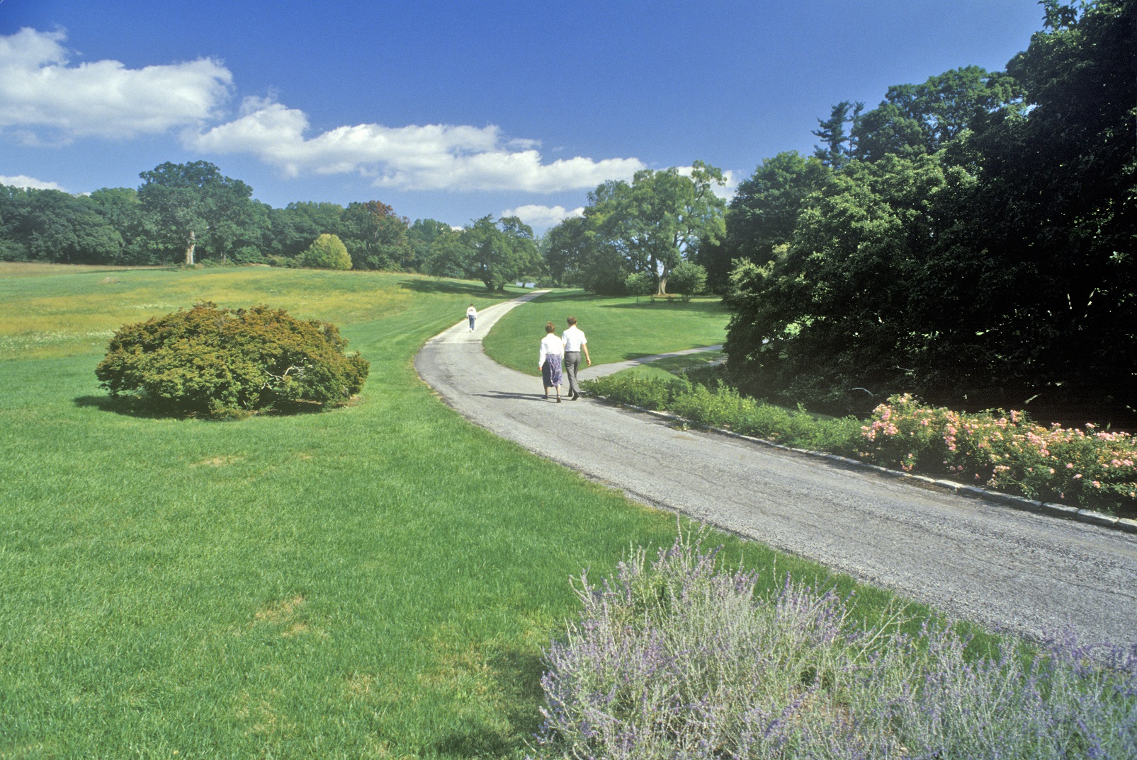 Couple stroll among the gardens at the Winterthur Museum - circa 1980s