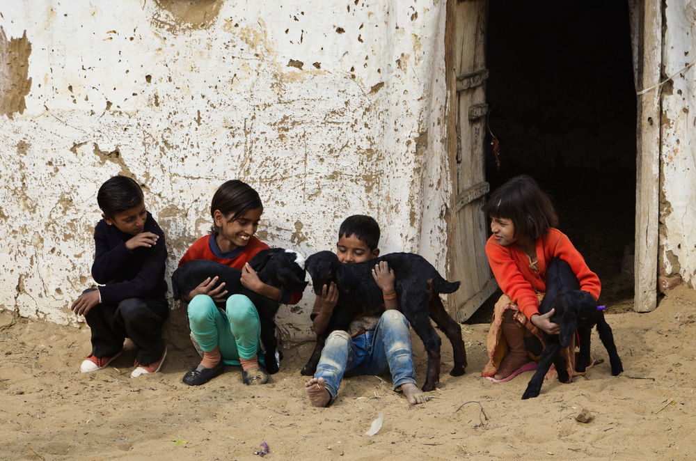 Four Indian  children with little goats