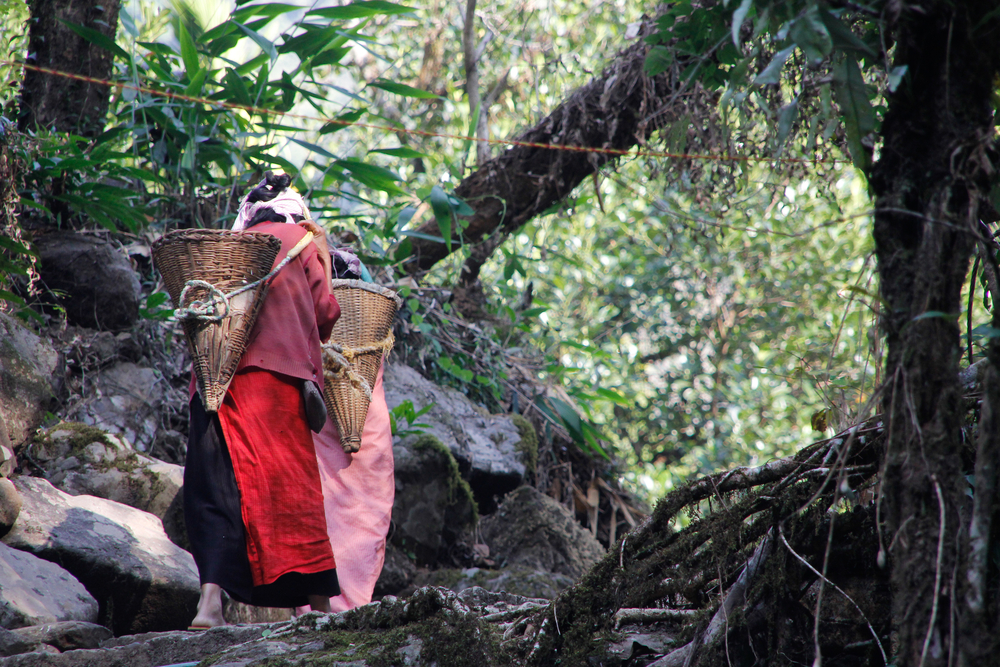 Indian women in forest