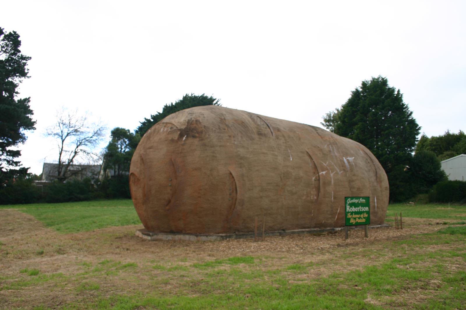 Big potato on the farm - 2008