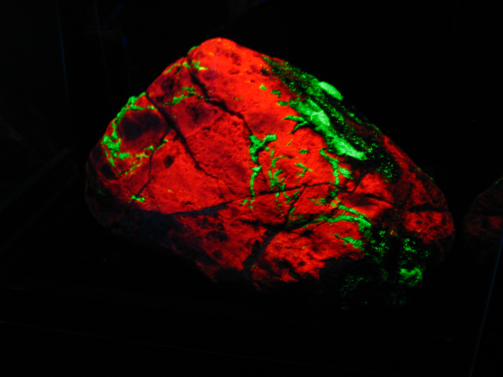 Fluorescent rock -Sterling Hill Mining Museum, NJ, USA - 2008