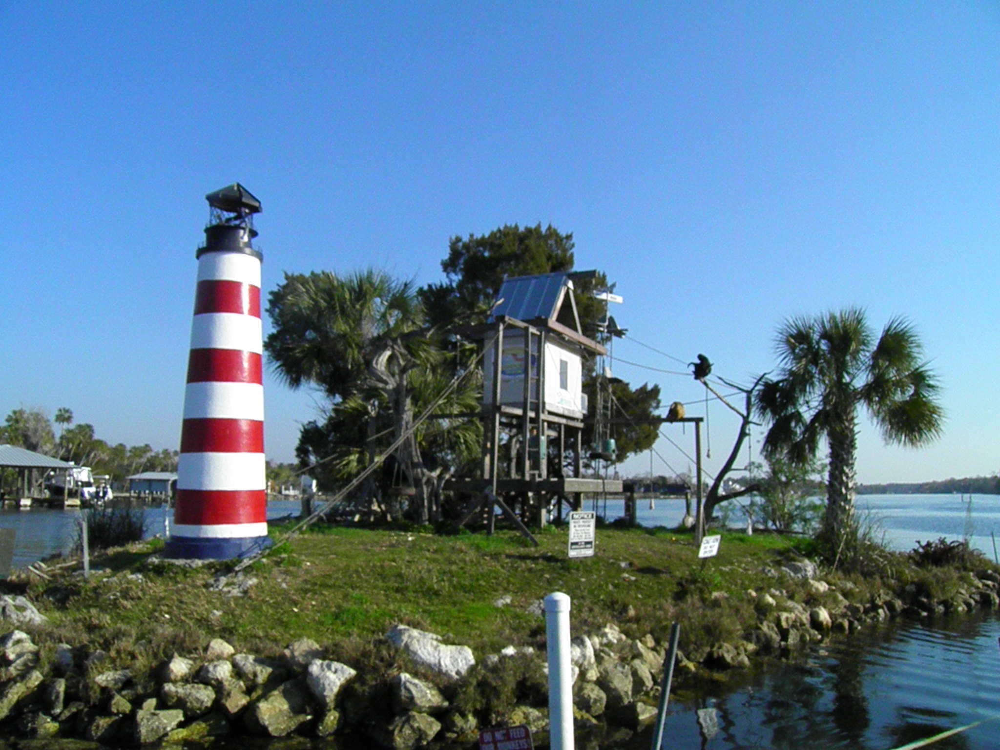 Monkey Island, Homosassa - 2011