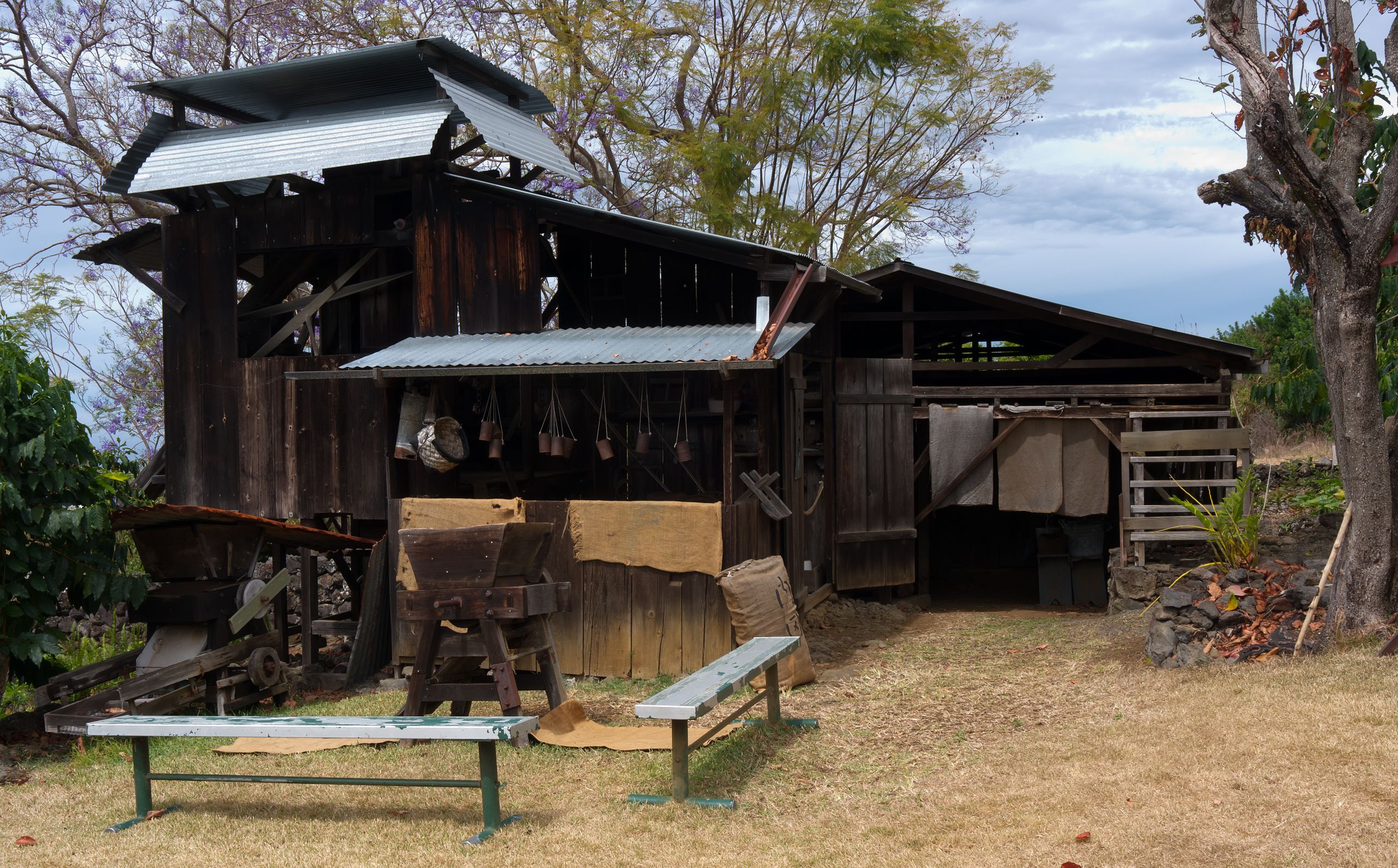 Historic coffee mill at the Kona Coffee Living History Farm, March 2012.