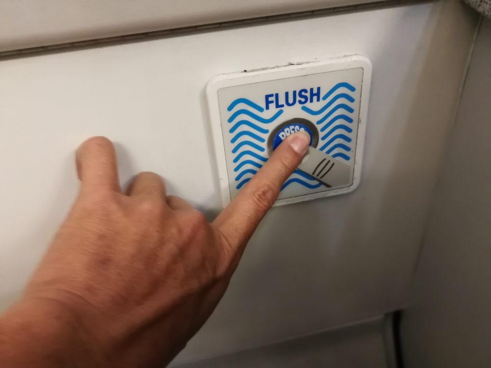 toilet button in a plane