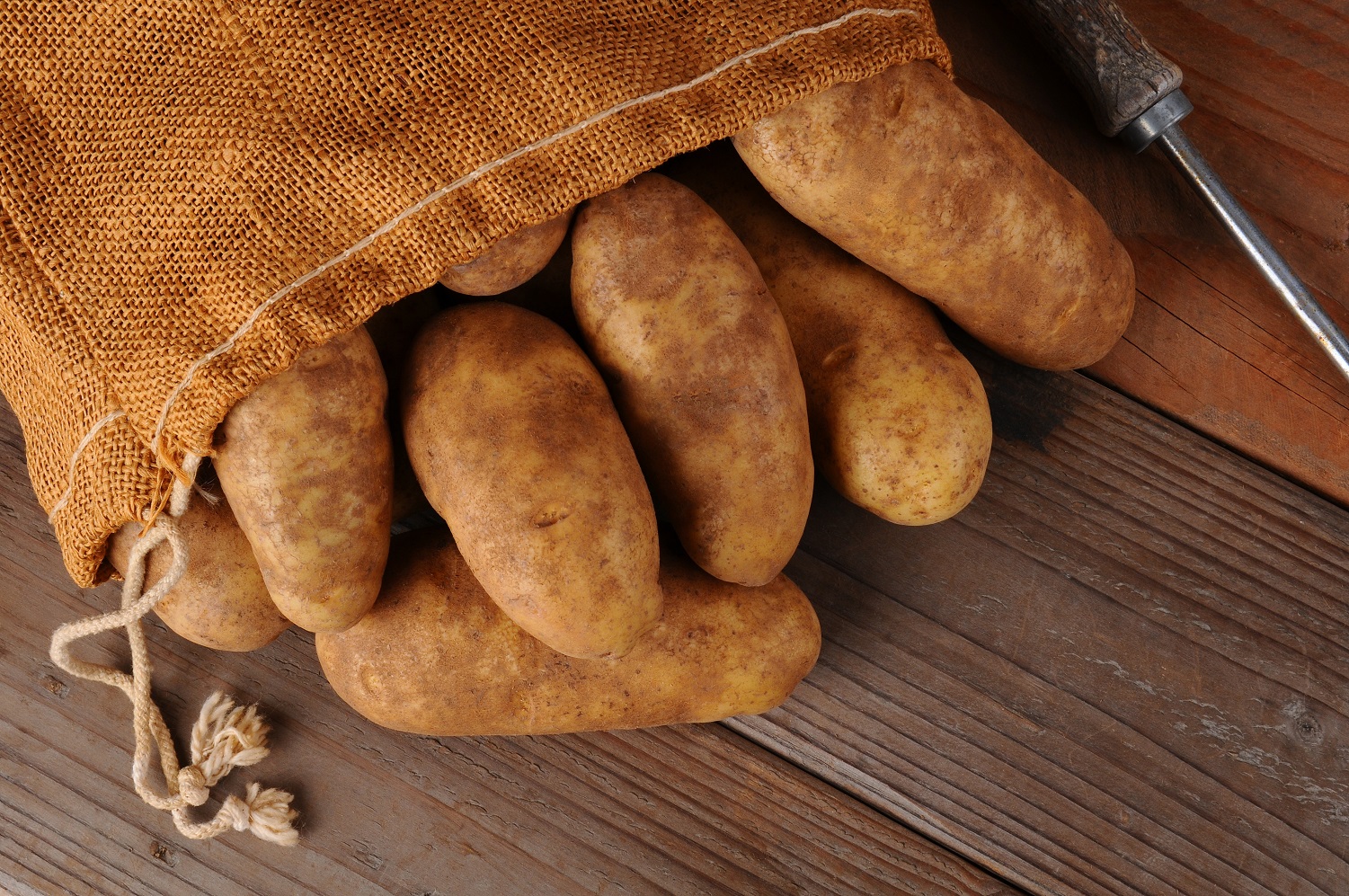 Sack of potatoes on a rustic wooden background.