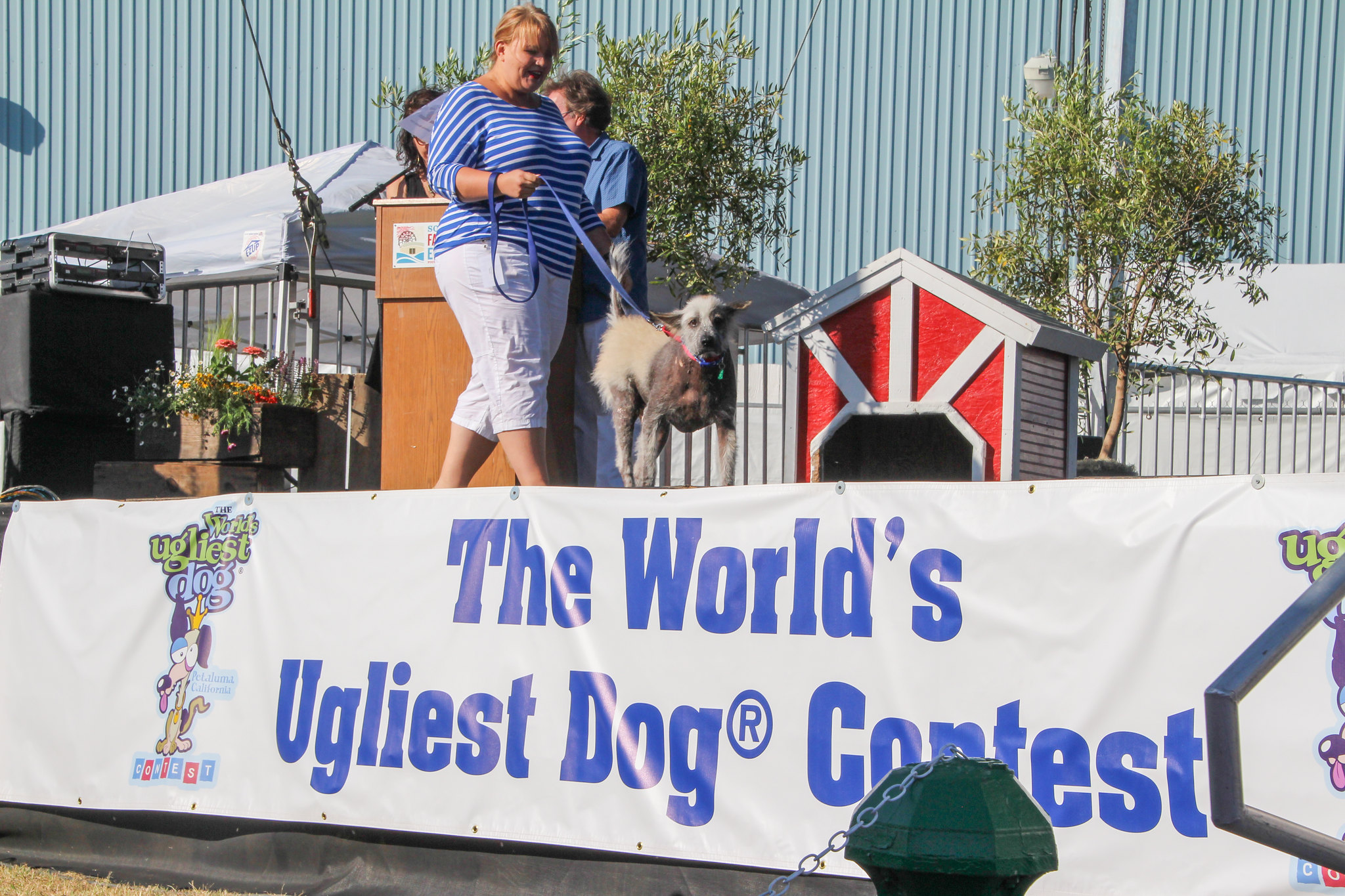 2015 World's Ugliest Dog Contest