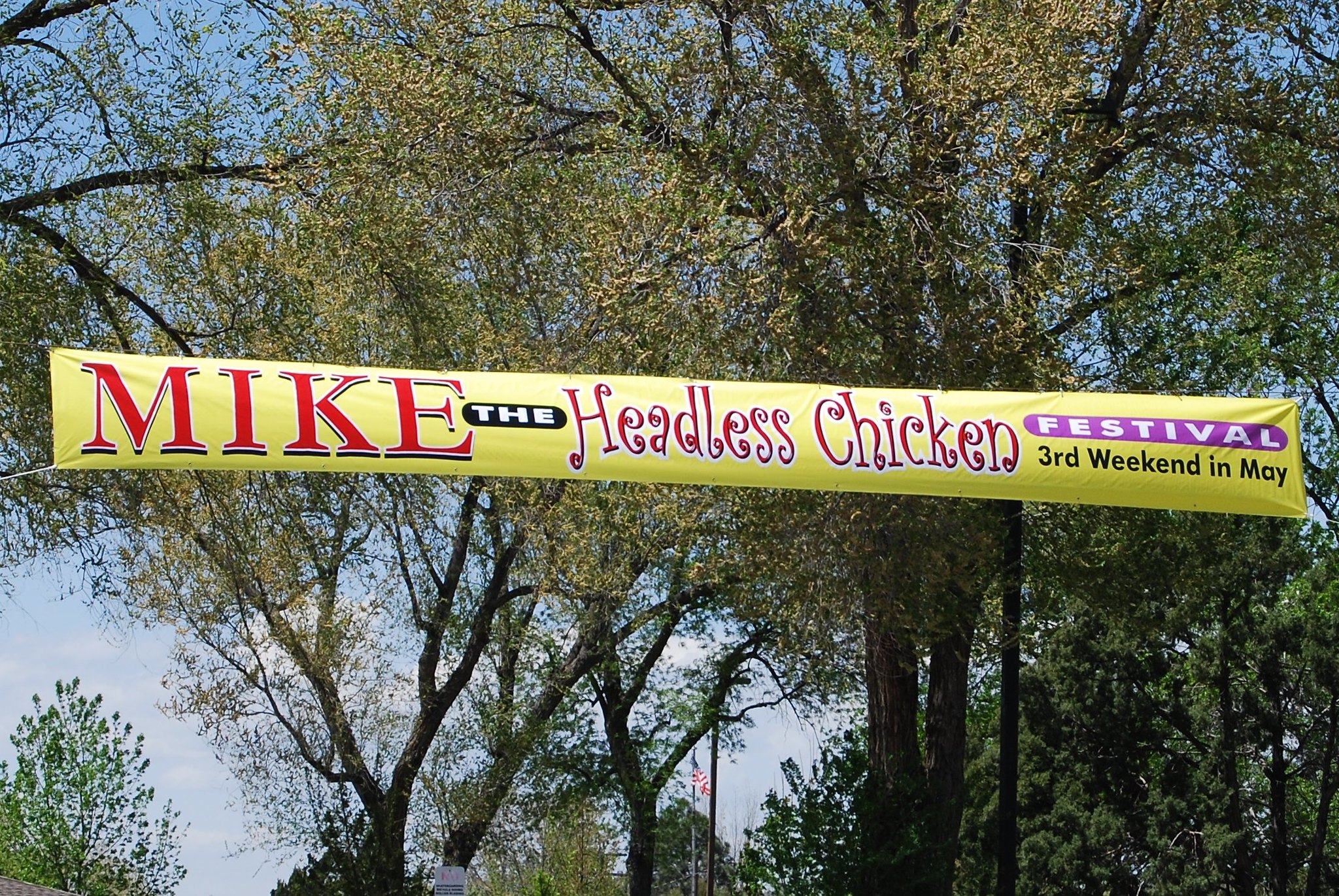 Mike, the Headless Chicken festival