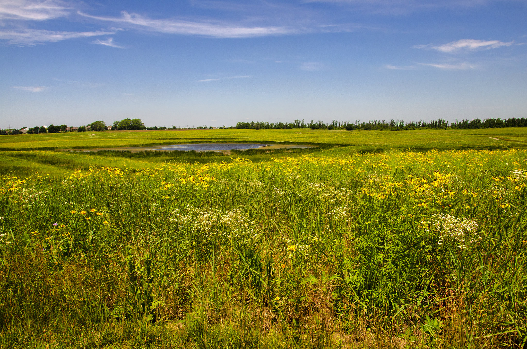 Prairie Pond, Illinois - 2018