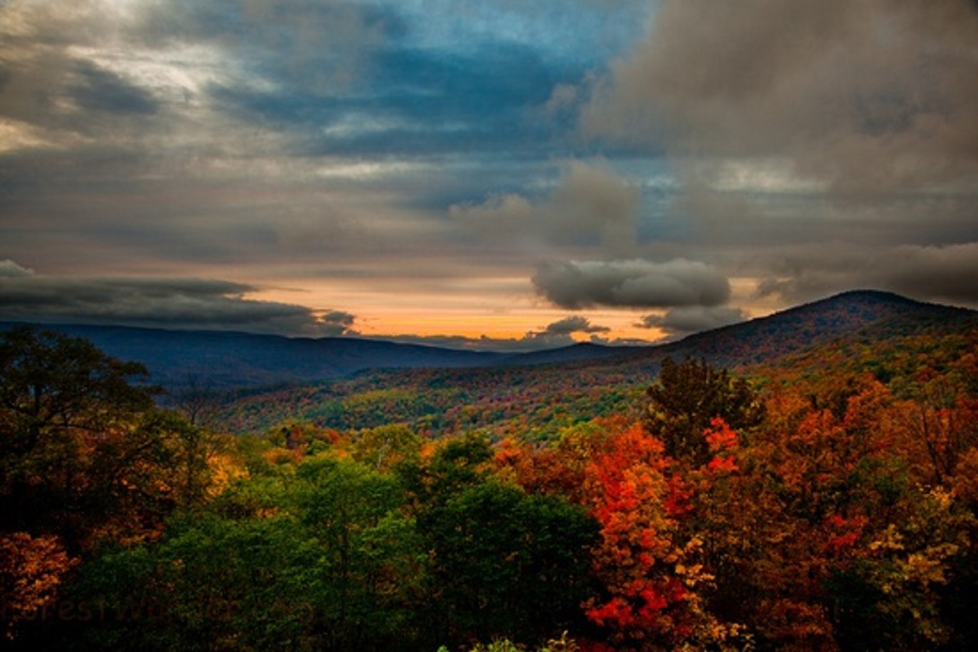 West Virginia Fall Foliage Mountain Sunset - 2011