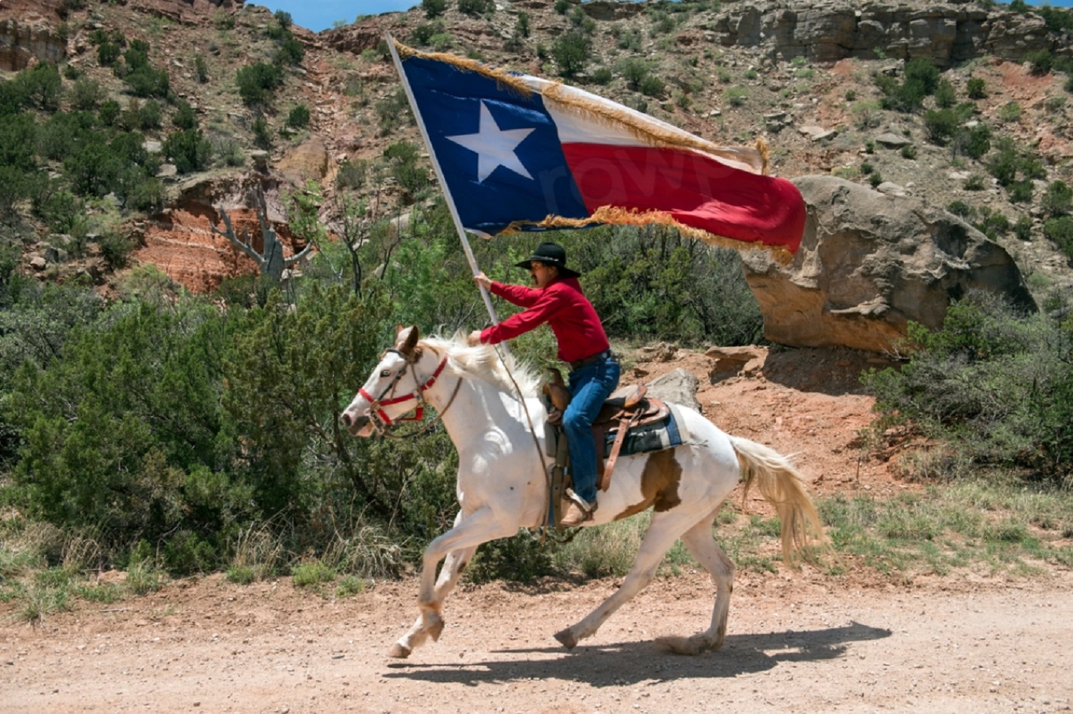 Man on horse holding the Texas flag.