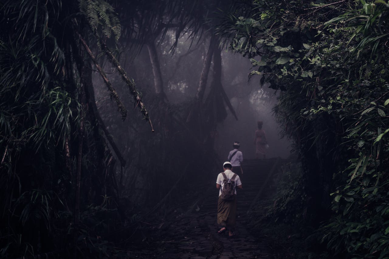People walking in the wood.