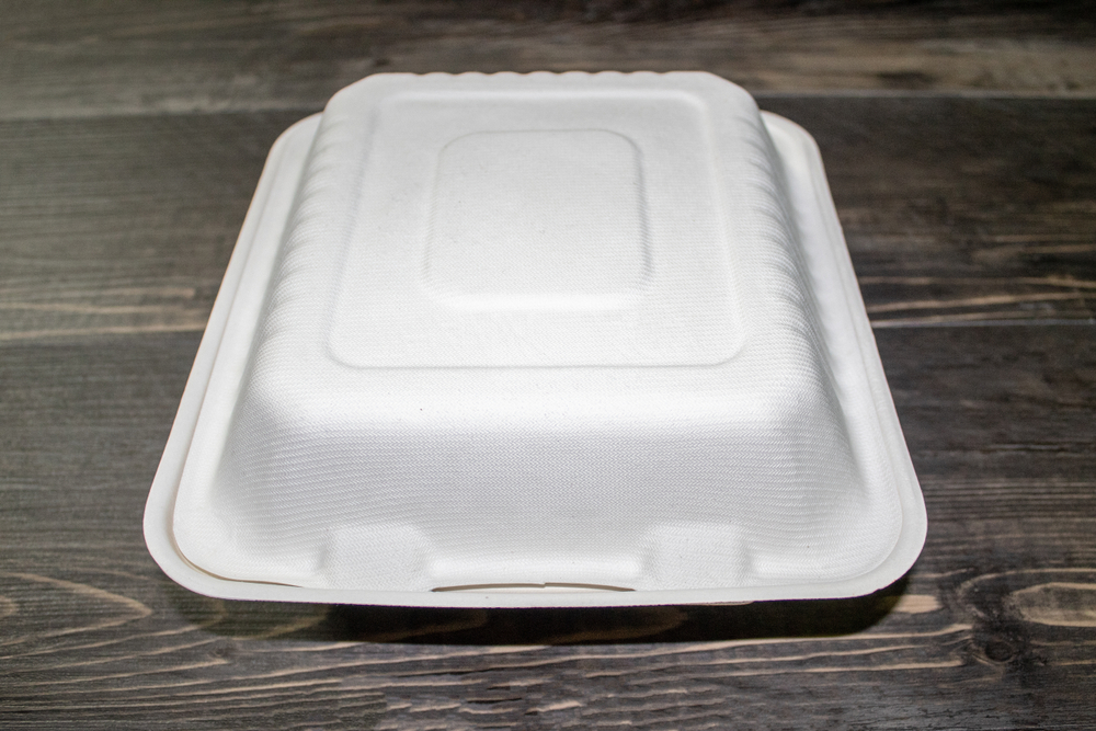 container for leftover food