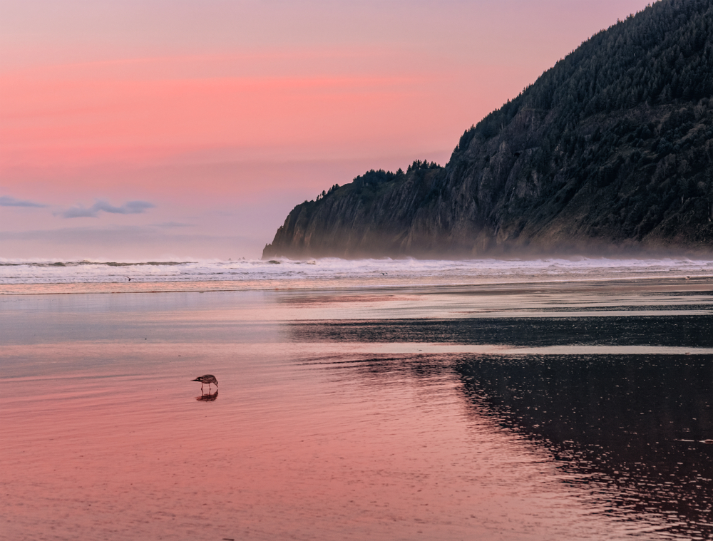 View of Manzanita Beach on the Pacific Coast