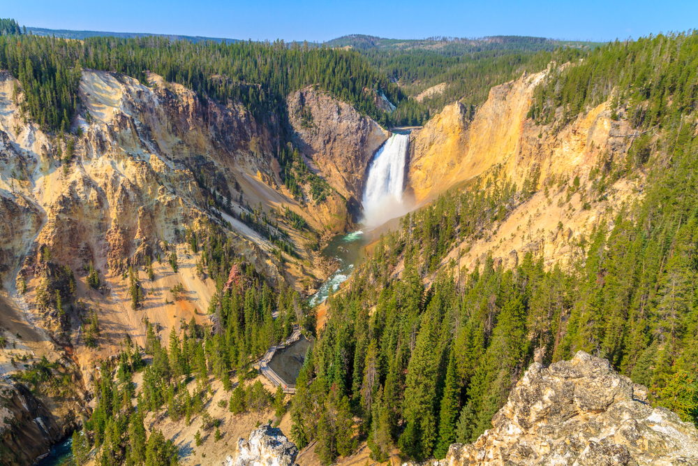 Lower Falls Yellowstone National Park, Wyoming
