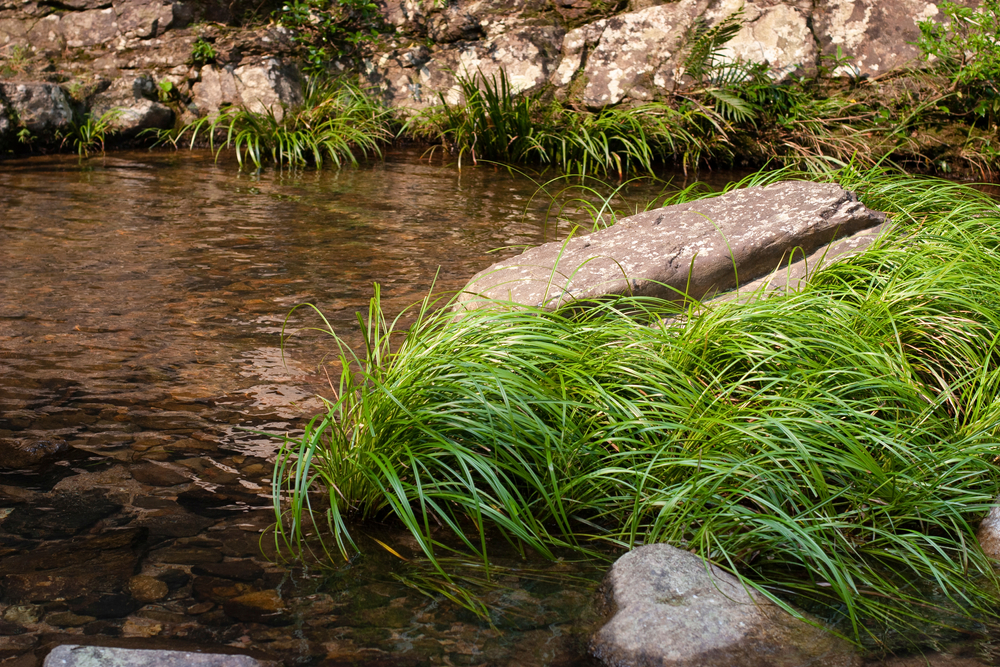 Bride s Pool Waterfall