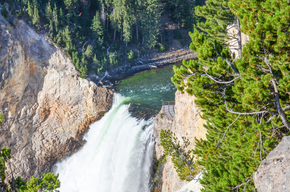 Lower Yellowstone Falls