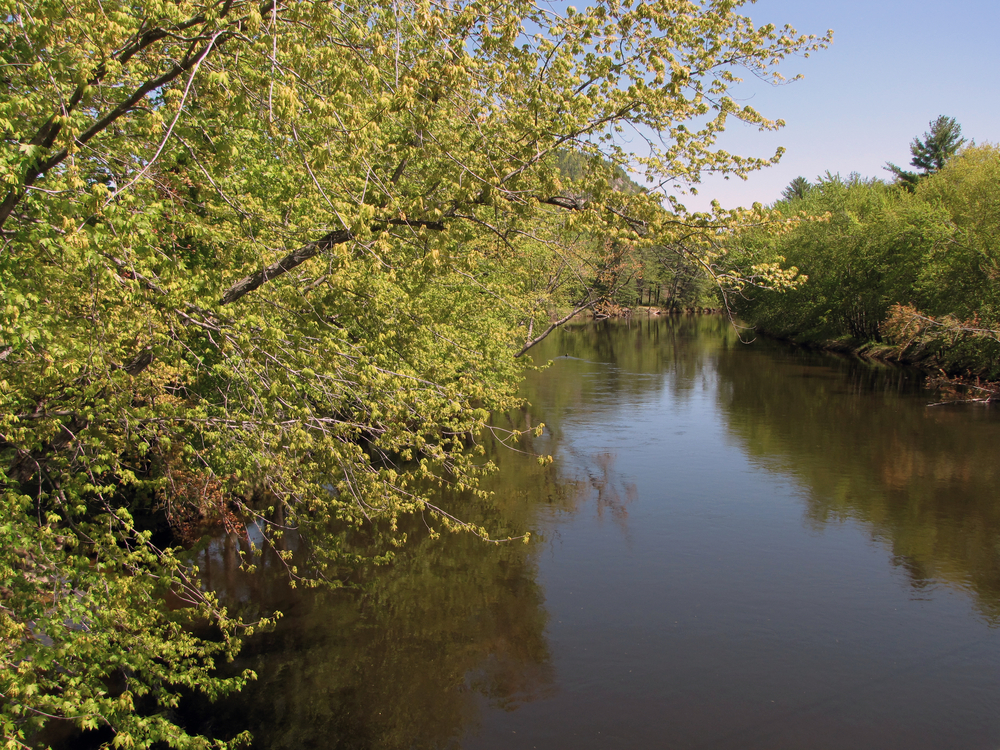 Saco River in Maine