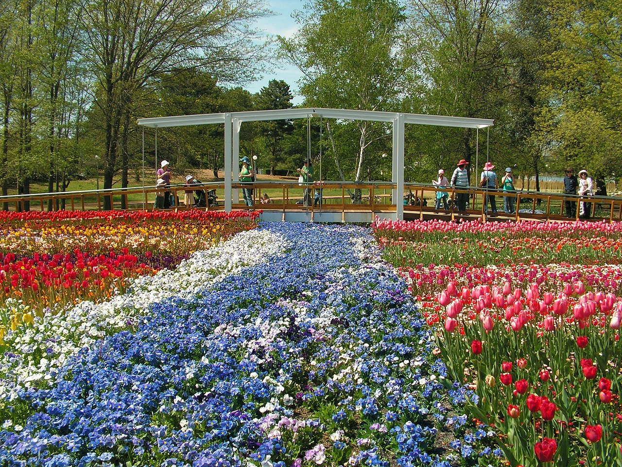 Floriade, Canberra, Australia