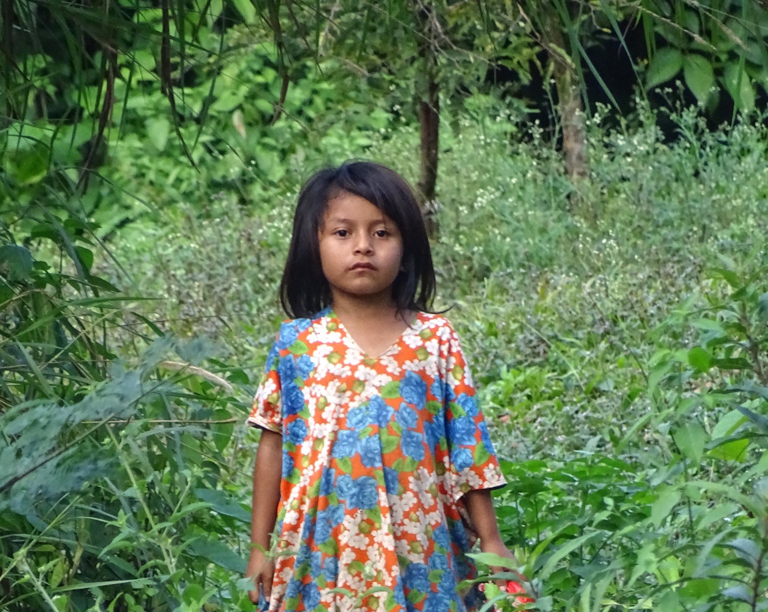 Lacandon Girl in the Lacandon Jungle of the Mexican state of Chiapas