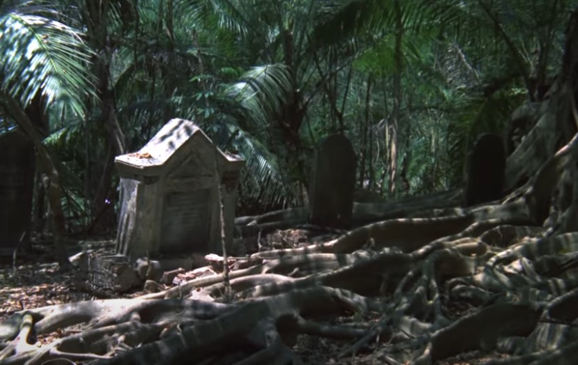 stone monuments behind tree roots