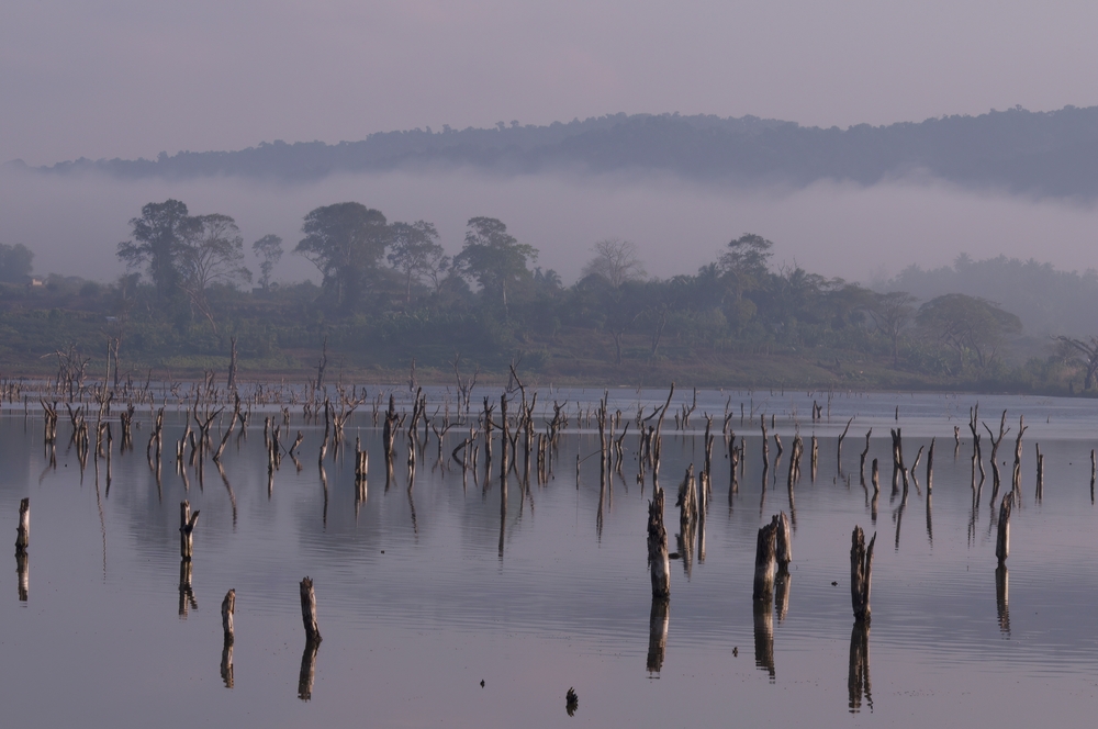Image of Andaman island habitats and landscapes