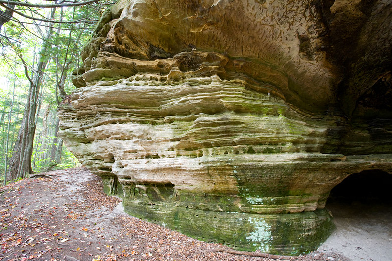 Landscape Photo of the White Pine Trail at the Pictured Rocks National Lakeshore