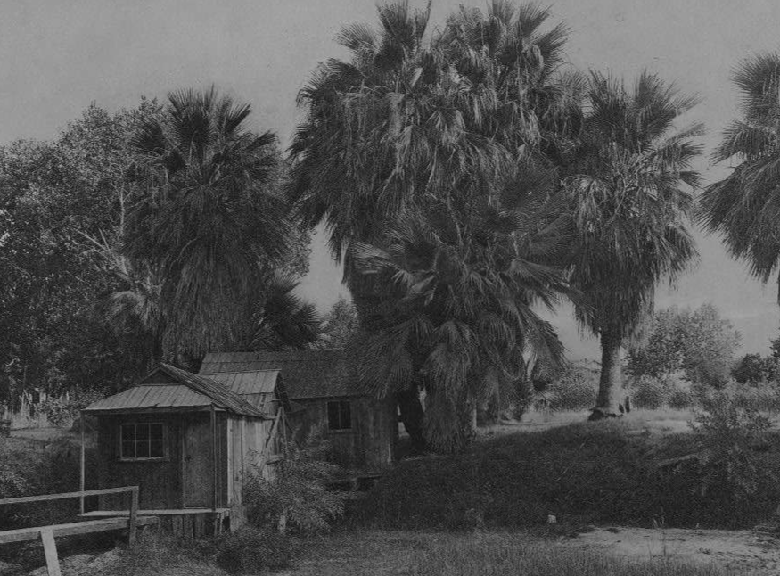 Modern houses at Palm Springs, Cahuilla