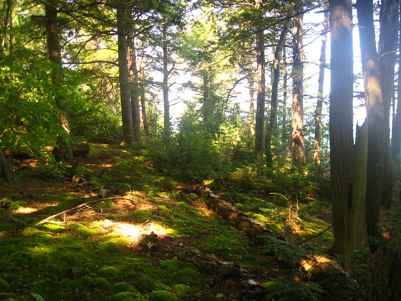 North Country Scenic Trail Along the Pictured Rocks National Lakeshore