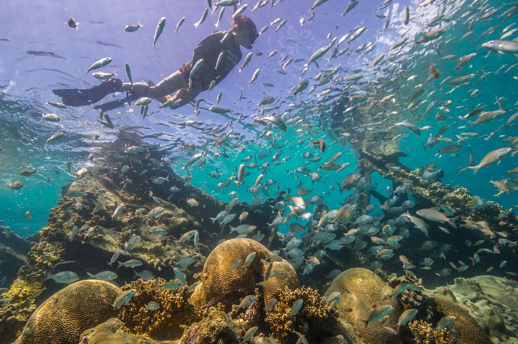 Snorkeling at the Pictured Rocks National Lakeshore