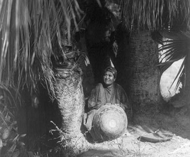 Cahuilla woman seated under palm tree holding large basket.