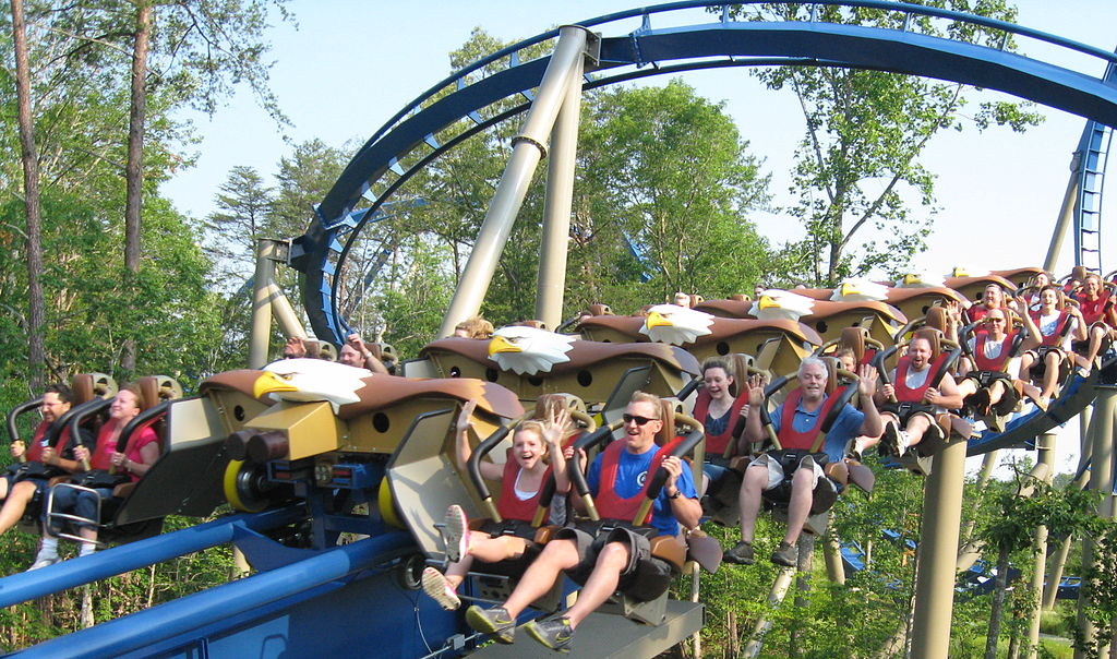 image of Wild Eagle roller coaster