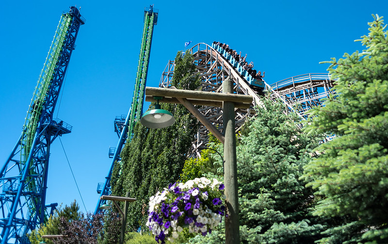 Aftershock Roller coaster behind the trees