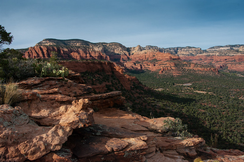 Landscape Photo of Coconino National Forest