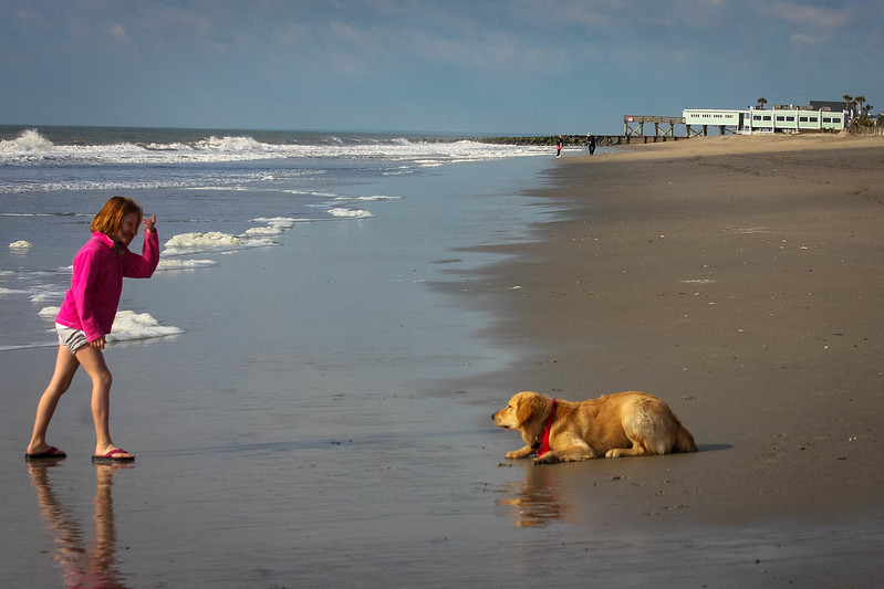 Girl and a Dog at Edisto Beach South Carolina