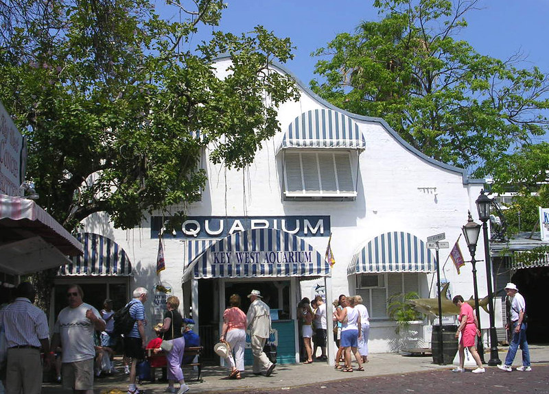 People in front of the Entrance of Key West Aquarium