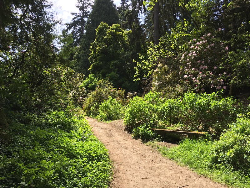 Walking Trail at the Seattle - Washington Park Arboretum
