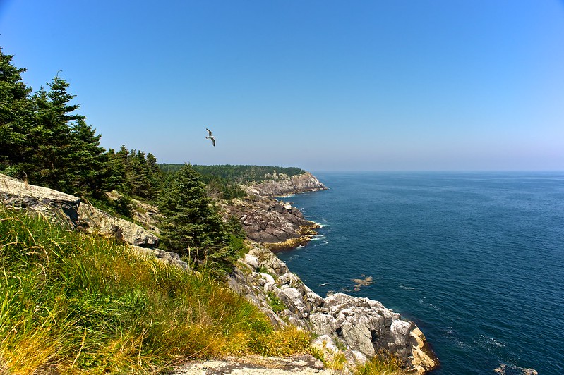 Landscape of the Monhegan Headland Trail and the Coastline