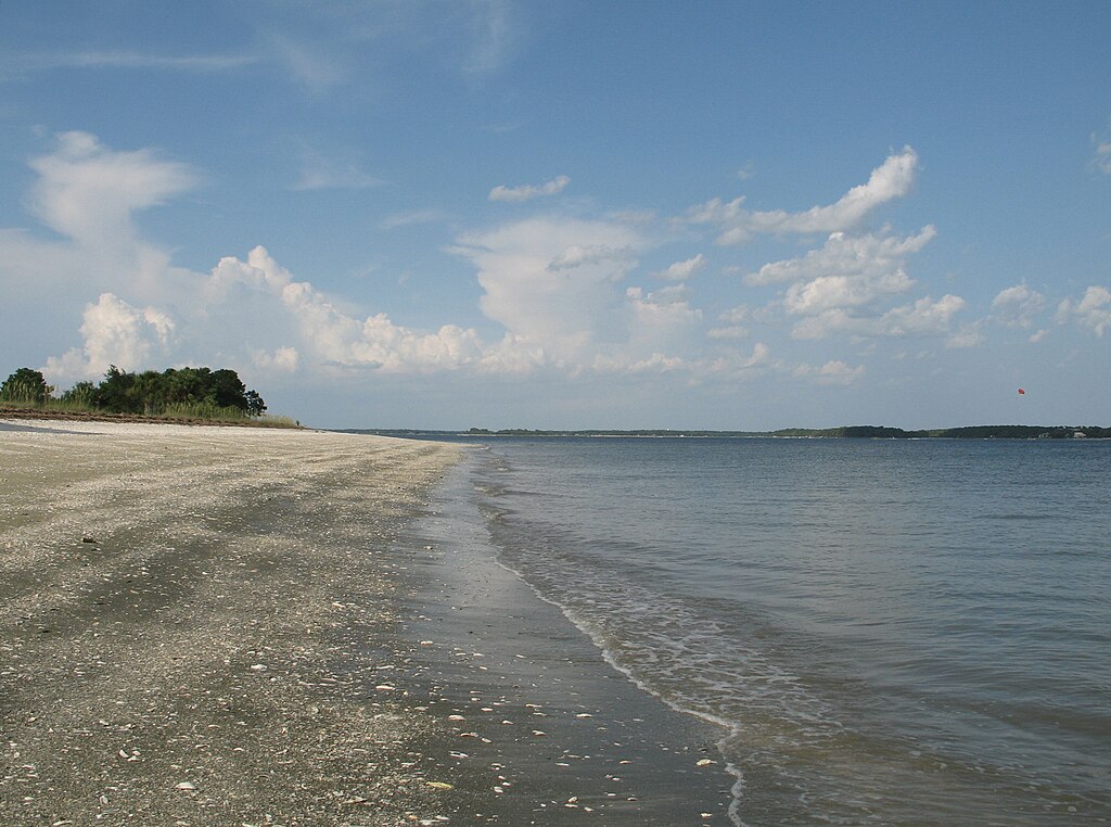 Shells washed up on the beach on Daufuskie Island in South Carolina