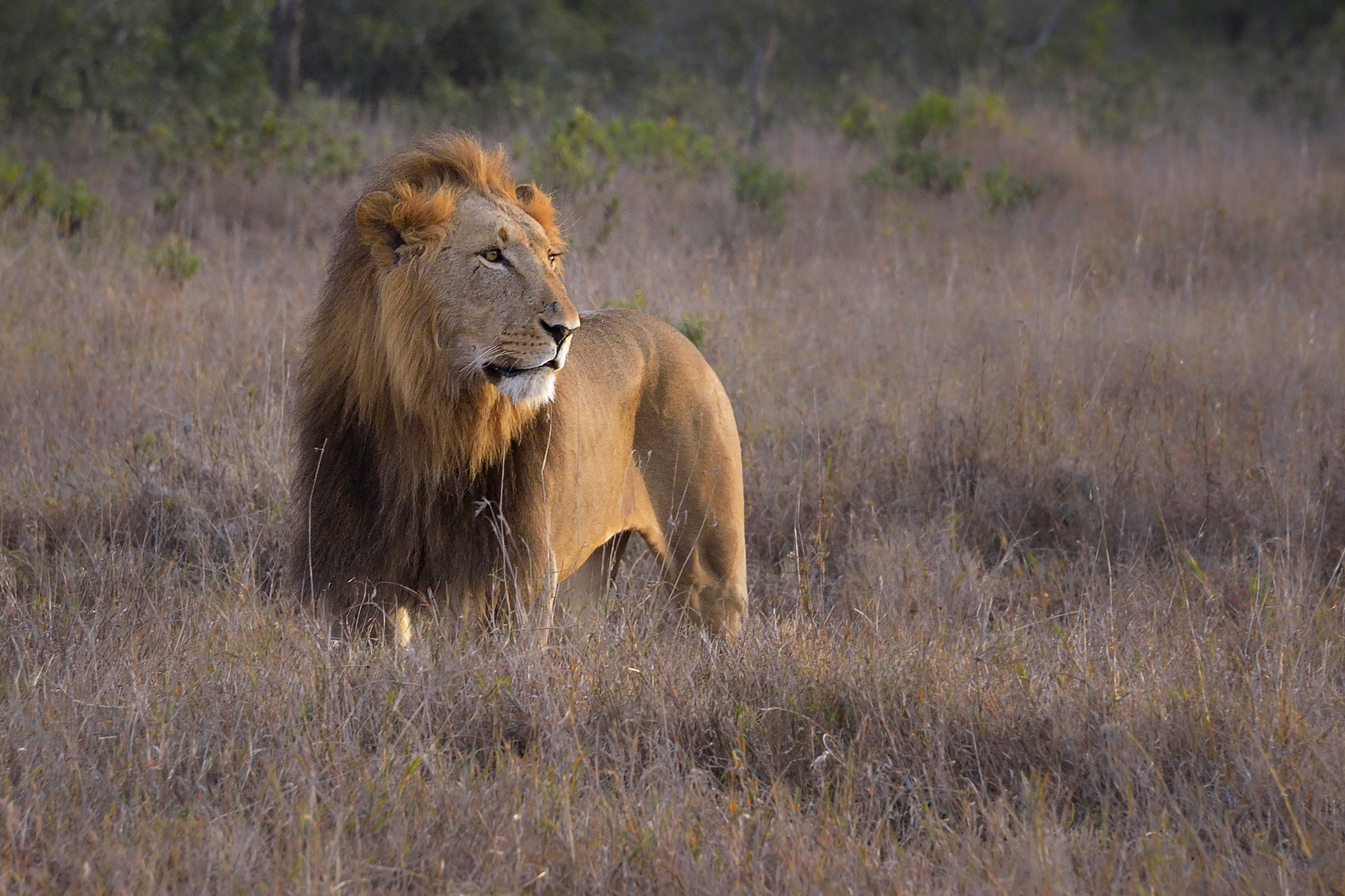 Ol Pejeta Conservancy, Kenya