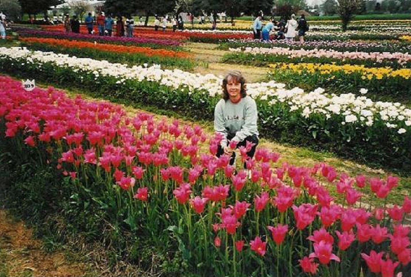 Tulip Time in Holland - 2003