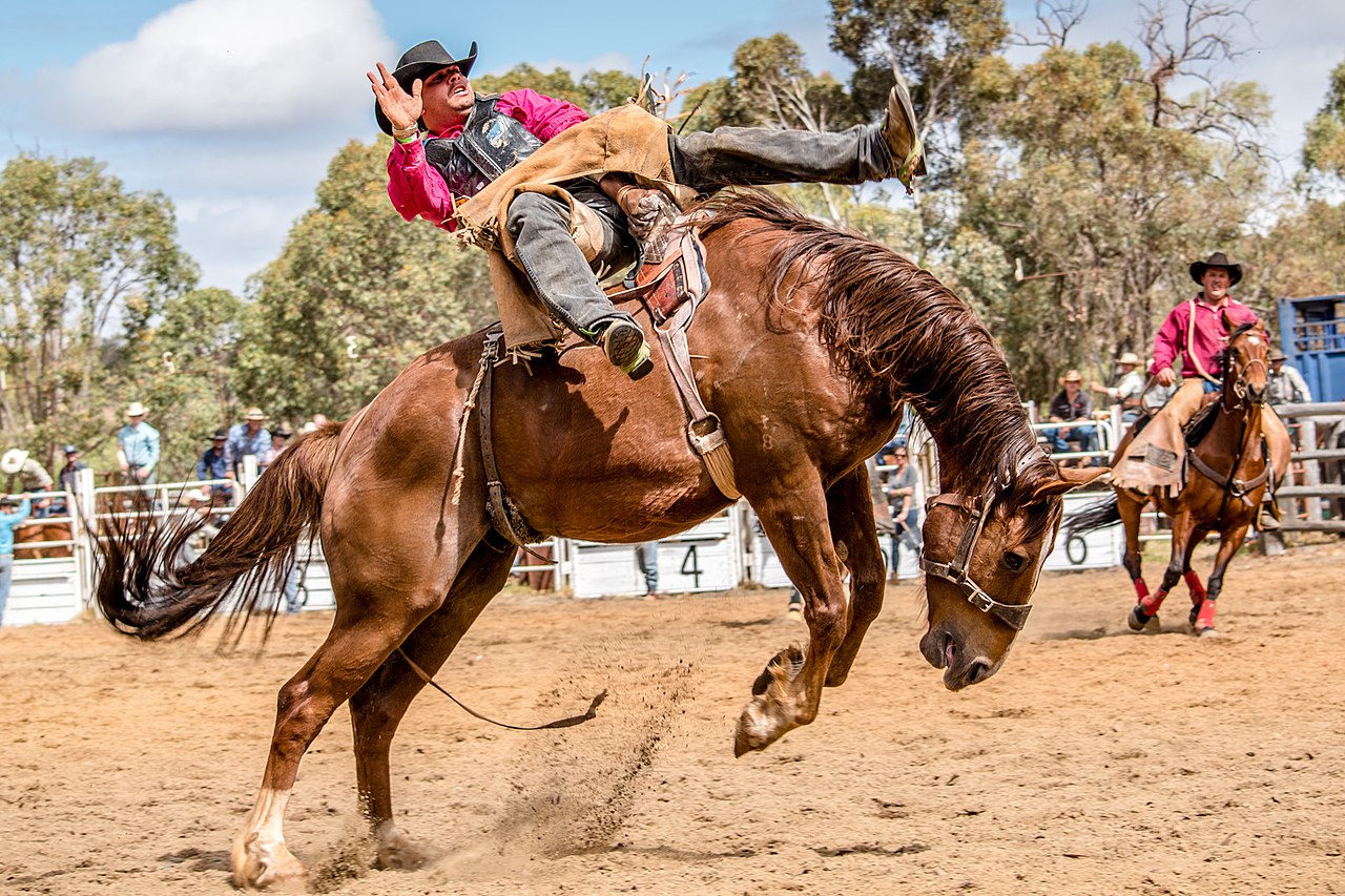 Boddington Rodeo - 2015