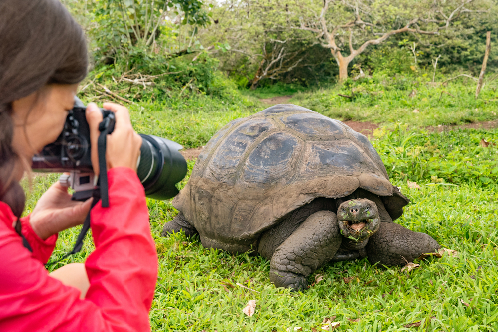 The Galápagos Islands