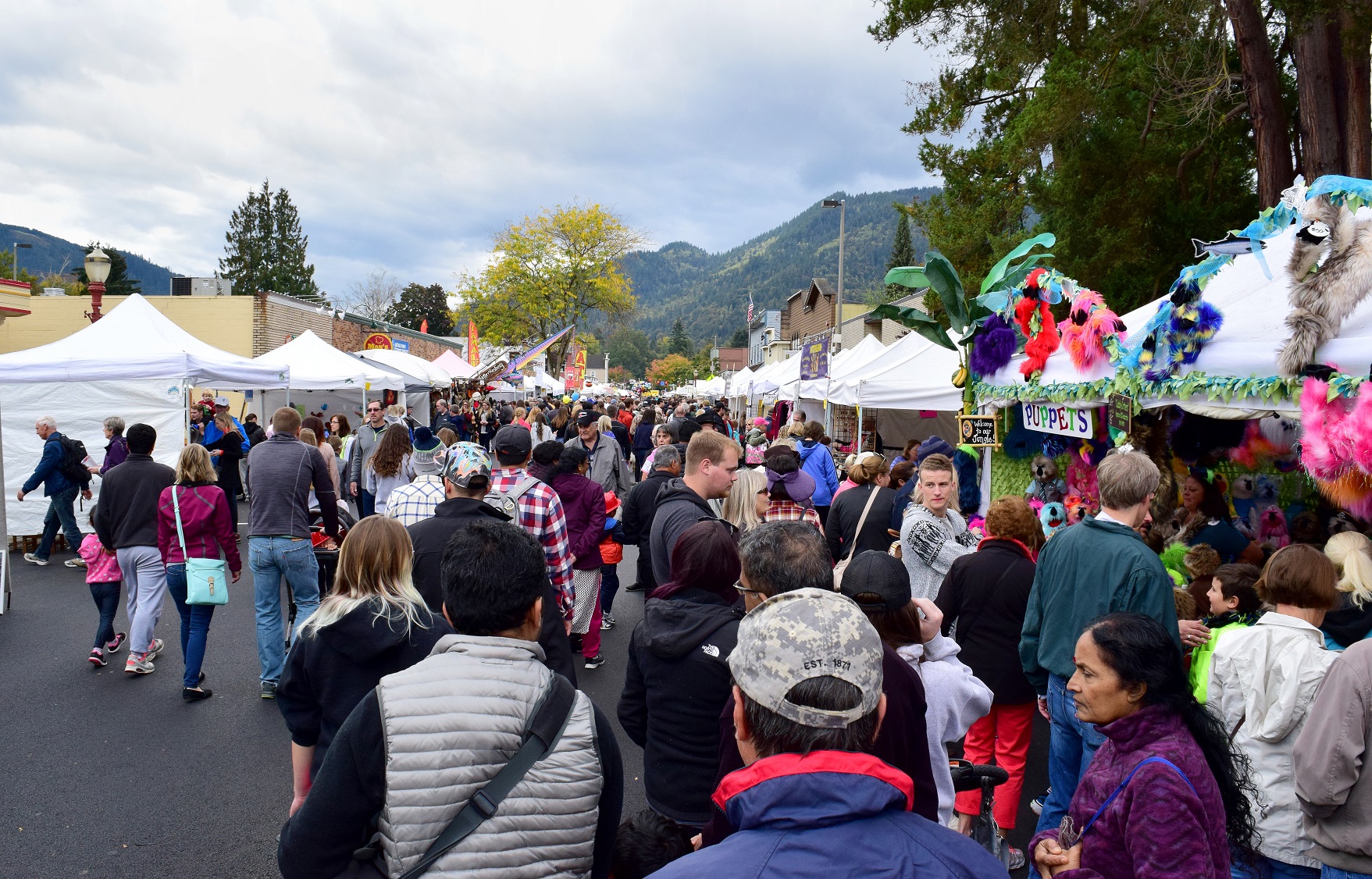Crowd at the Issaquah Salmon Days Festival - 2018