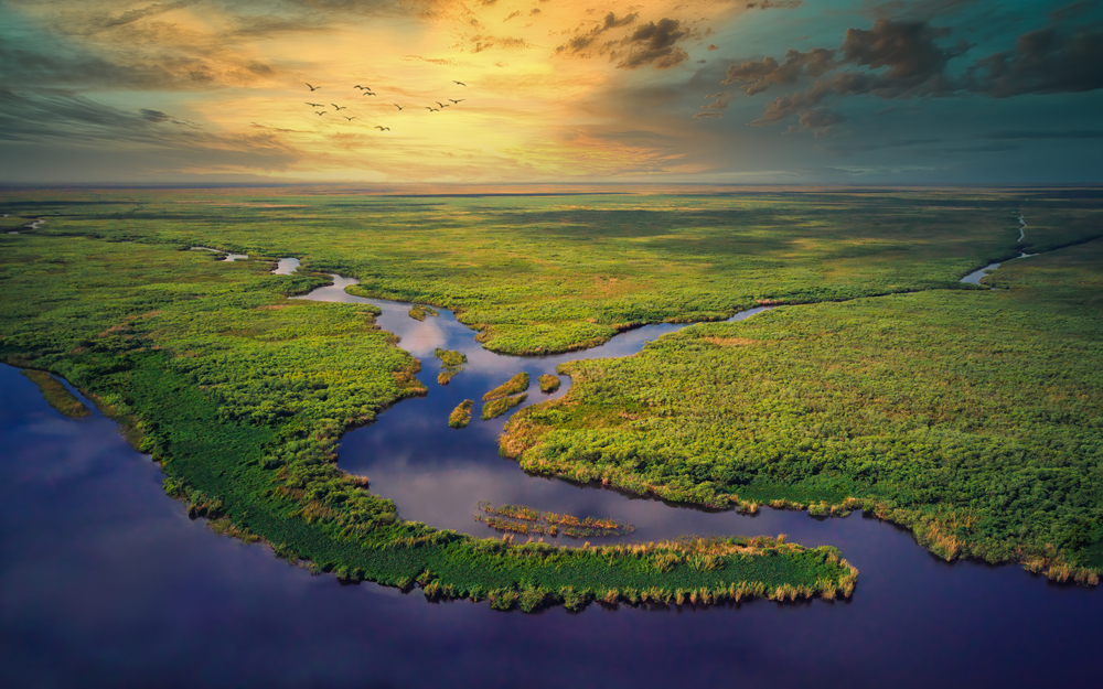 The Everglades