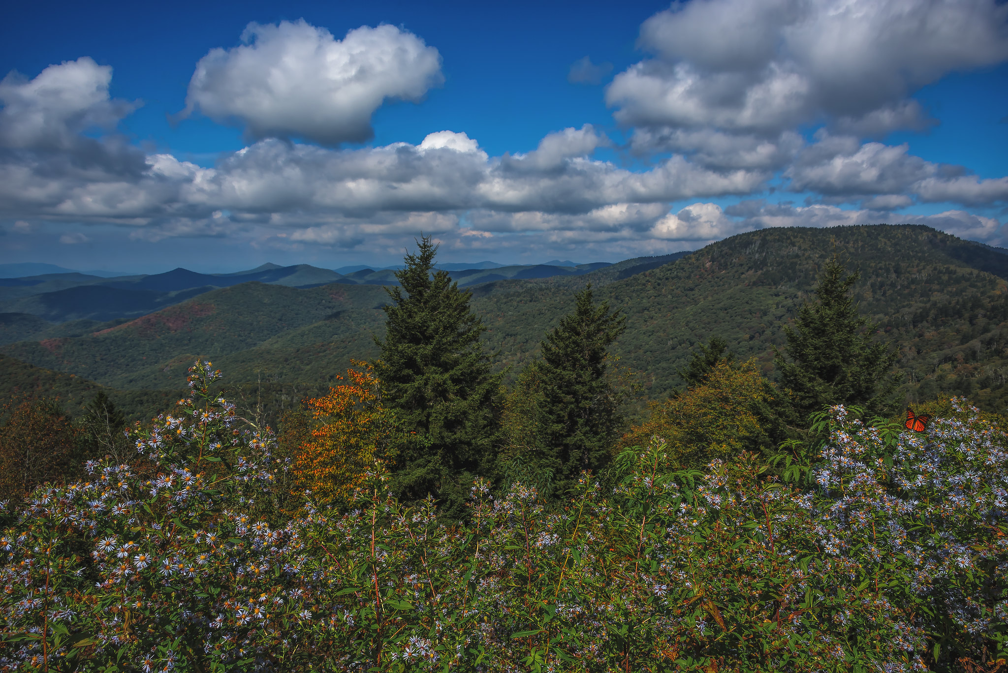 Blue Ridge Parkway, Asheville, North Carolina