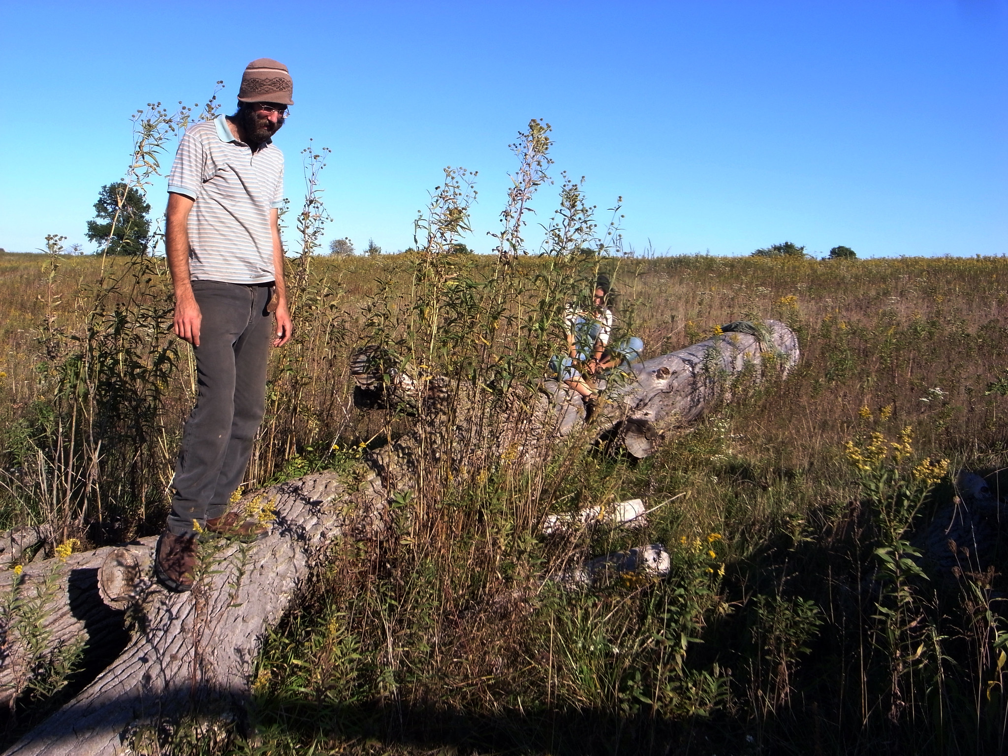 Dancing Rabbit Ecovillage