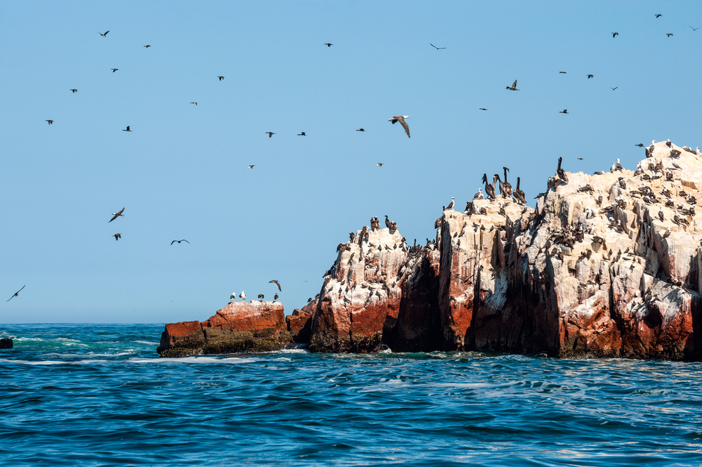 paracas sea cliffs