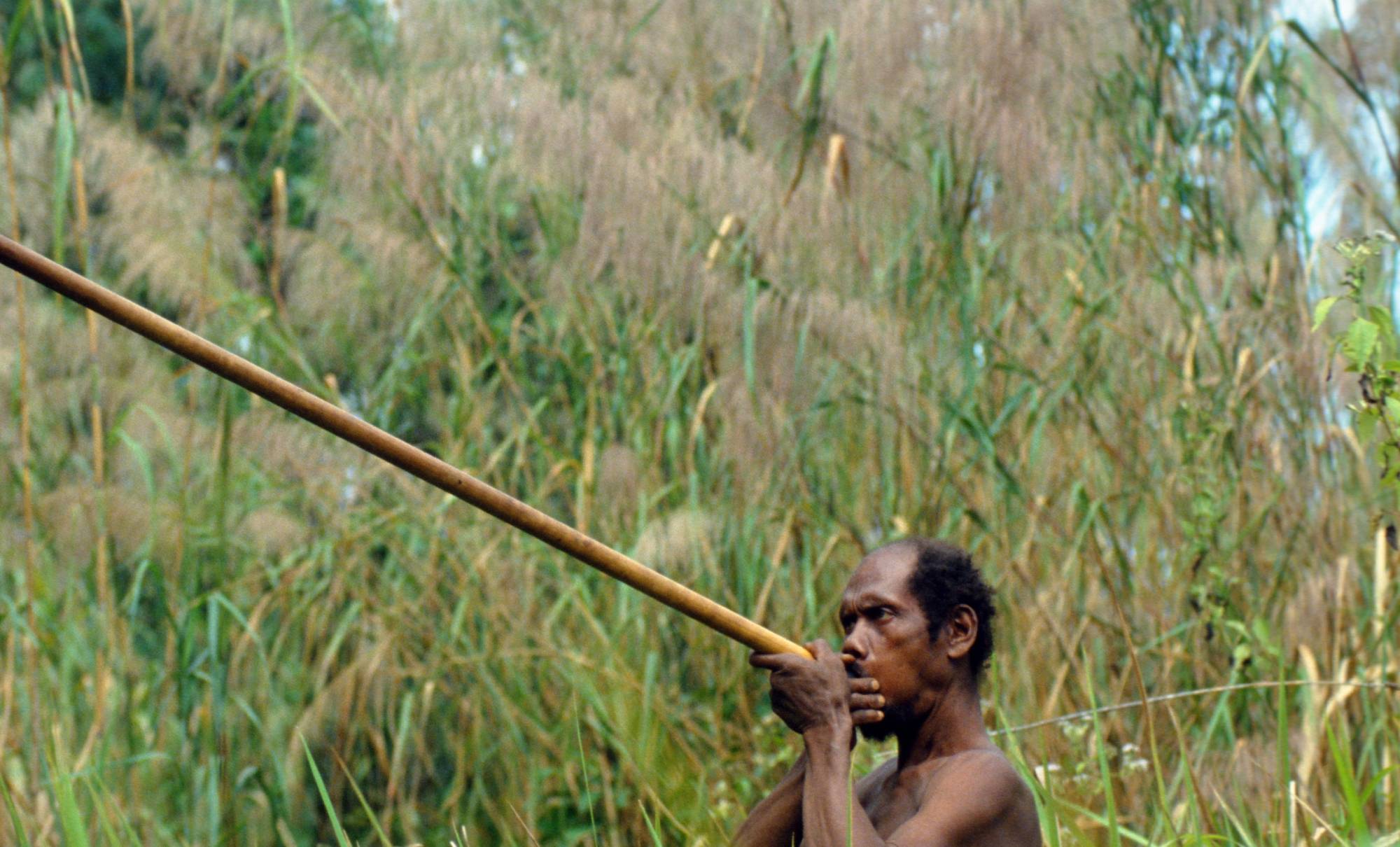 The Negrito, Mani people of Thailand, man hunting