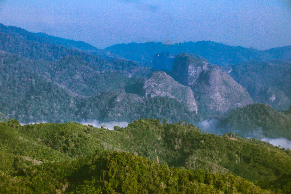 Thailand, Palahala forest