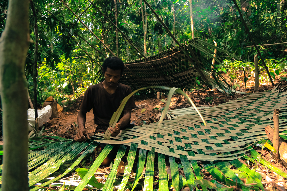 The Negrito, Mani people of Thailand